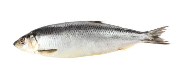 Fresh herring fish isolated on white