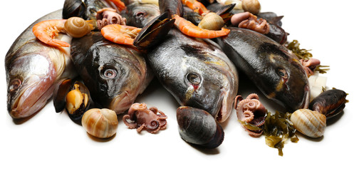 Fresh catch of fish and other seafood isolated on white