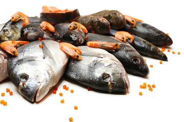 Fresh catch of fish and shrimps, close-up