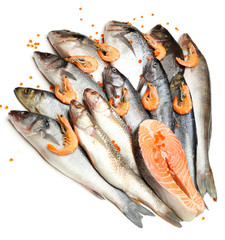 Fresh catch of fish and shrimps, isolated on white
