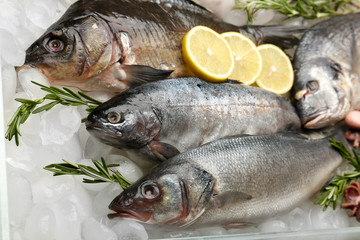 Fresh fish on ice