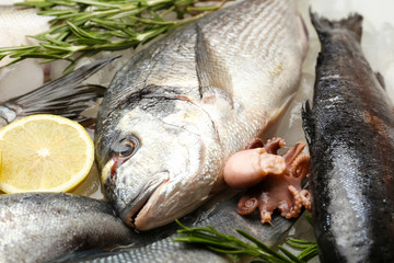 Fresh fish on ice