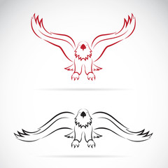 Vector image of an eagle on white background