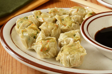 Chinese chicken dumplings