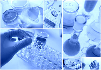 研究イメージ（化学と微生物）