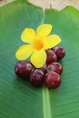 allamanda and red grapes