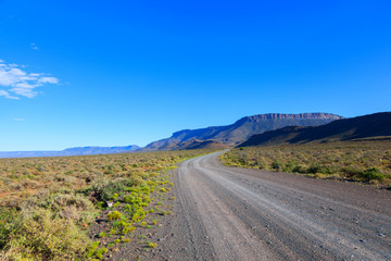Gravel road in the Karoo
