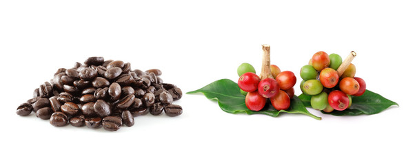 coffee beans isolated on white background