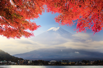 Fuji Mountaion with nice maple