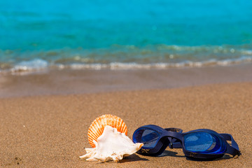 Fototapeta na wymiar goggles for swimming and seashells on the seashore