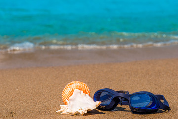 goggles for swimming and seashells on the seashore