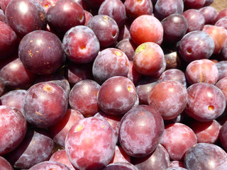 fresh plums