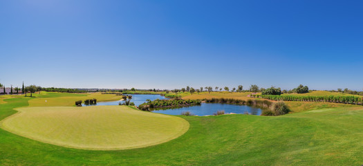Fototapeta na wymiar Summer panorama of the golf course. On the lake.