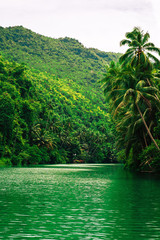 Fototapeta na wymiar Large tropical river with green water