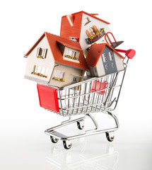 many houses in shopping-cart