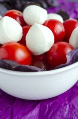Mozzarella and cherry tomatoes in a porcelain  bowl