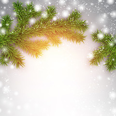 Christmas background with spruce branches.