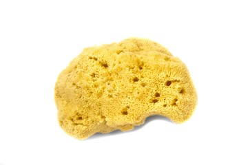 Synthetic bath sponge