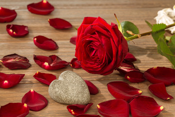 Rosen für Valentinstag und Muttertag