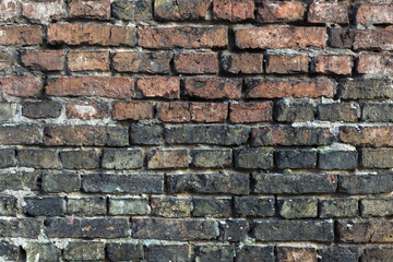 Brick Wall