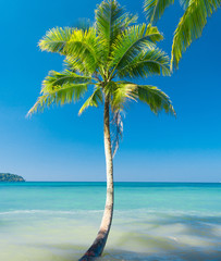 Obraz na płótnie Canvas Idyllic Island Beautiful Beach