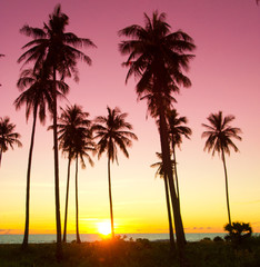 Fiery Backdrop Sunset Divine