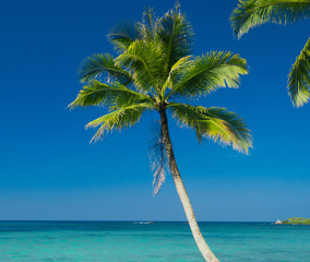 Serenity Shore Idyllic Island