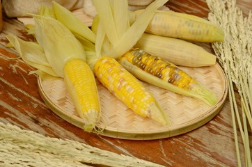 corns