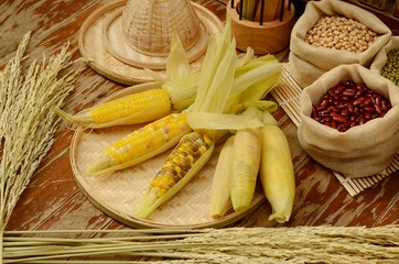 corns