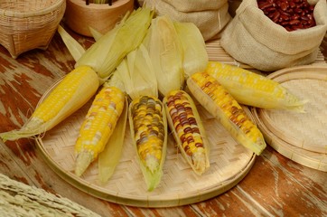 corns