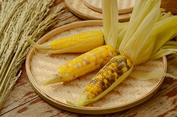 corns