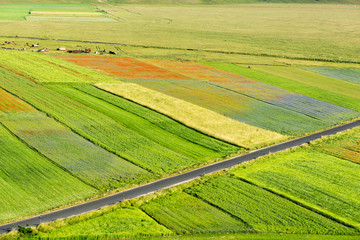 Piano Grande di Castelluccio (Italy)