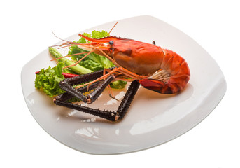 Giant Freshwater Prawn