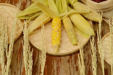 corns