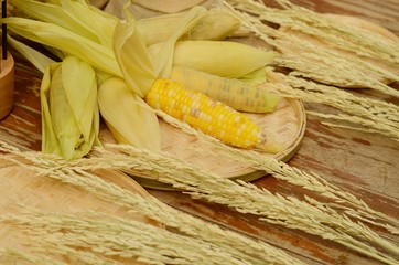 corns