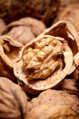 getrocknete Walnuss, geknackt, Frucht in Nussschalte