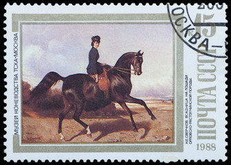 series Moscow Museum of Horse Breeding