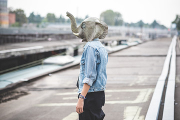 elephant mask young handsome bearded hipster man