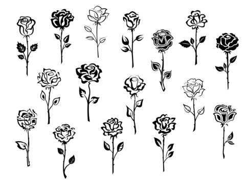 Set of rose icons