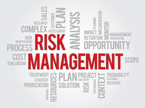 Risk management words cloud business vector concept