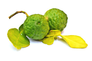 Kaffir lime on white background