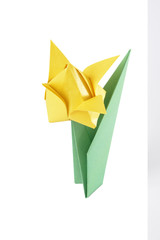 Origami tulip isolated over white backgr&icirc;und