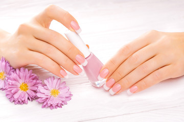 beautiful french manicure on white