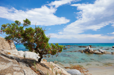 Fototapeta na wymiar Sardinia sea coast resort in Italy