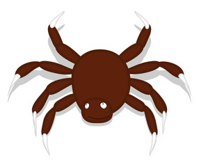 Creepy Spider Animal Vector