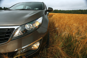 Obraz na płótnie Canvas car in a wheat field summer SUV