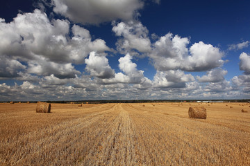 lay hay on field clouds sun