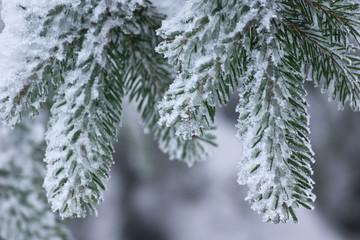 Winter Hintergrund