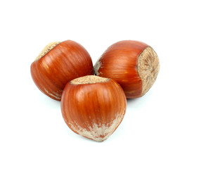 Hazelnuts in closeup