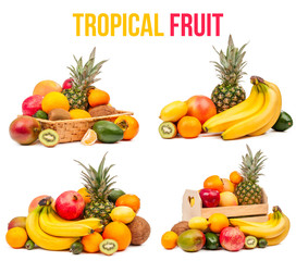 tropical fruit set of four compositions isolated